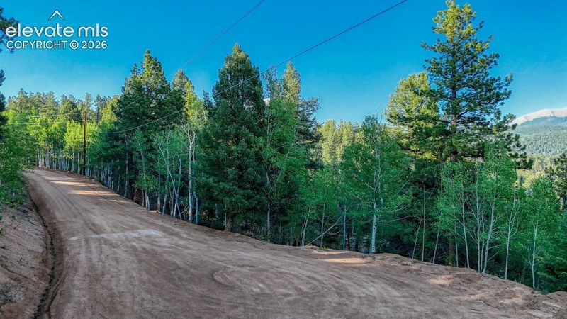 364 Blue Spruce Rd, Divide, CO 80814