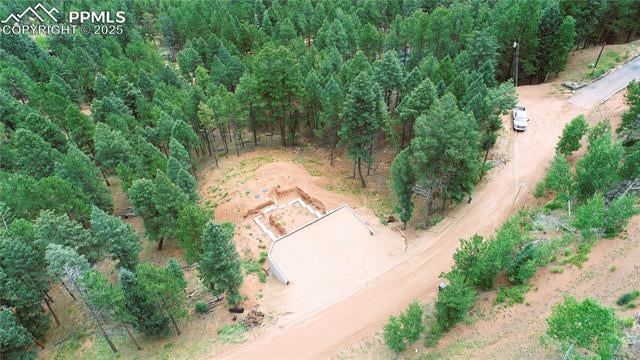 370 Summer Haven Dr, Woodland Park, CO 80863
