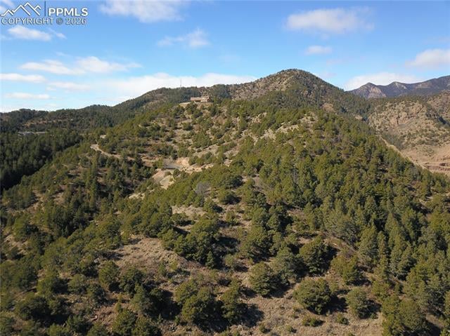 3735 Big Spruce Hts, Colorado Springs, CO 80926