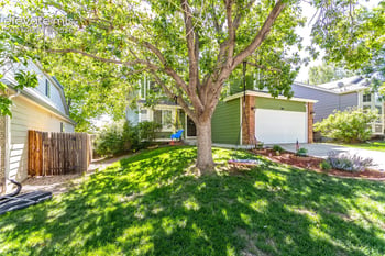 380 Dunhill St, Castle Rock, CO 80104