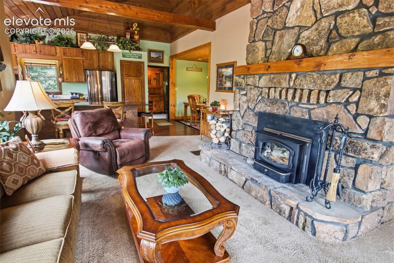 381 Saddleback Creek Dr, Florissant, CO 80816