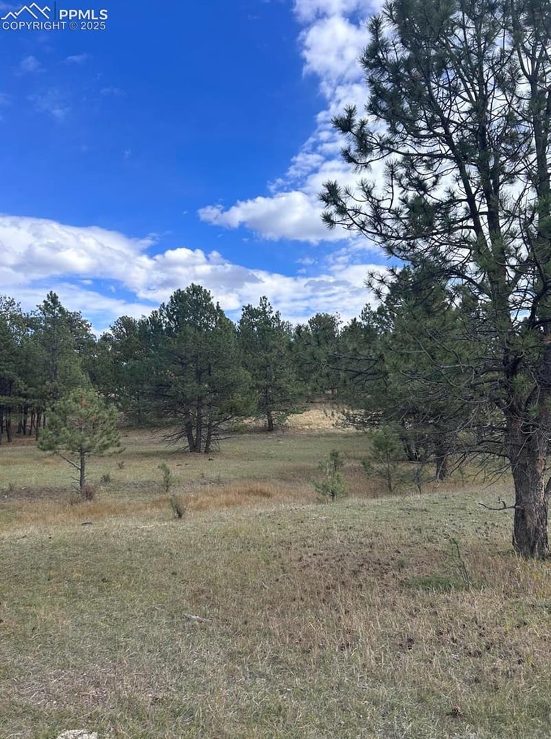 382 Arrowhead Dr, Florissant, CO 80816