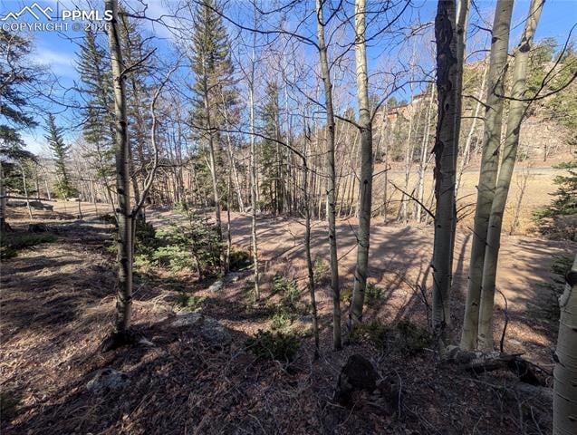 386 Brook Dr, Lake George, CO 80827