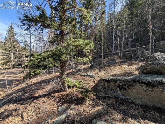 386 Brook Dr, Lake George, CO 80827