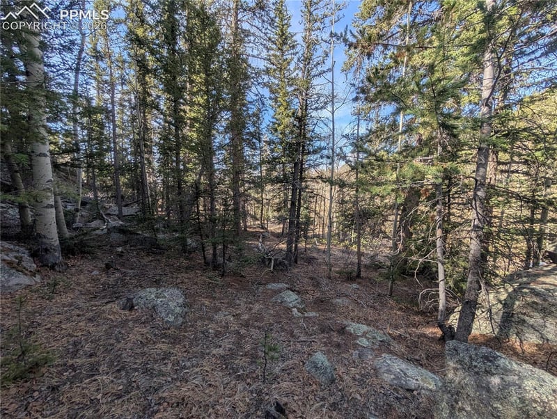 386 Brook Dr, Lake George, CO 80827