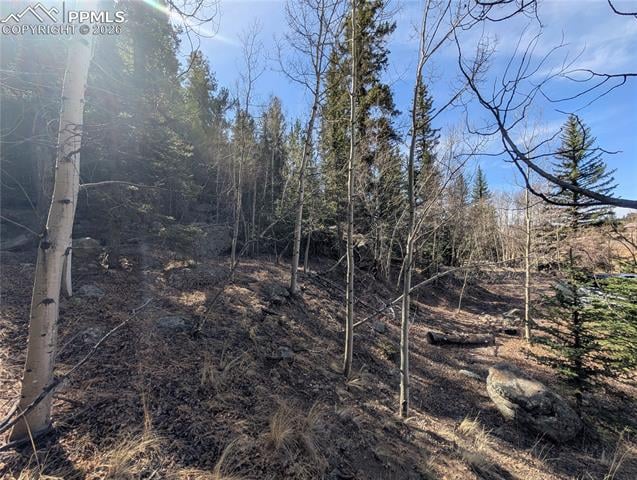 386 Brook Dr, Lake George, CO 80827