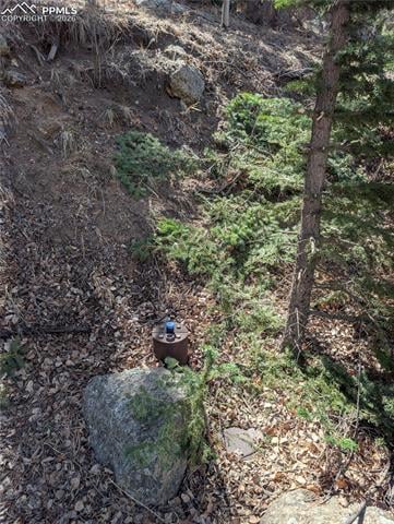 386 Brook Dr, Lake George, CO 80827
