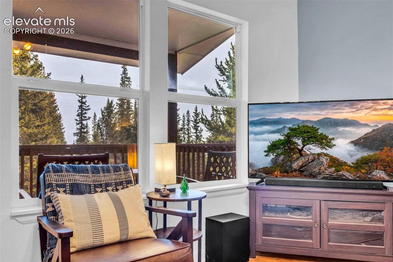 386 Prunes Pl, Fairplay, CO 80440