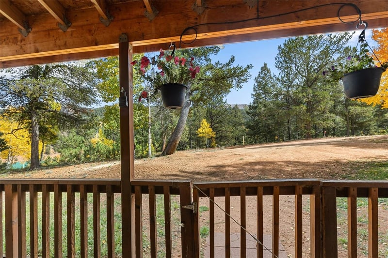 391 Timber Ridge Rd, Divide, CO 80814