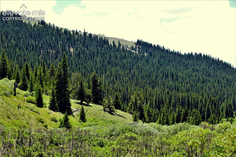 3956 Fs 659 Rd, Fairplay, CO 80440