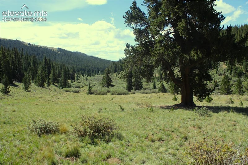 3956 Fs 659 Rd, Fairplay, CO 80440