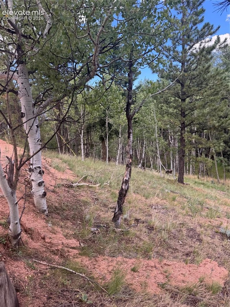 40 Sequoia Trl, Woodland Park, CO 80863