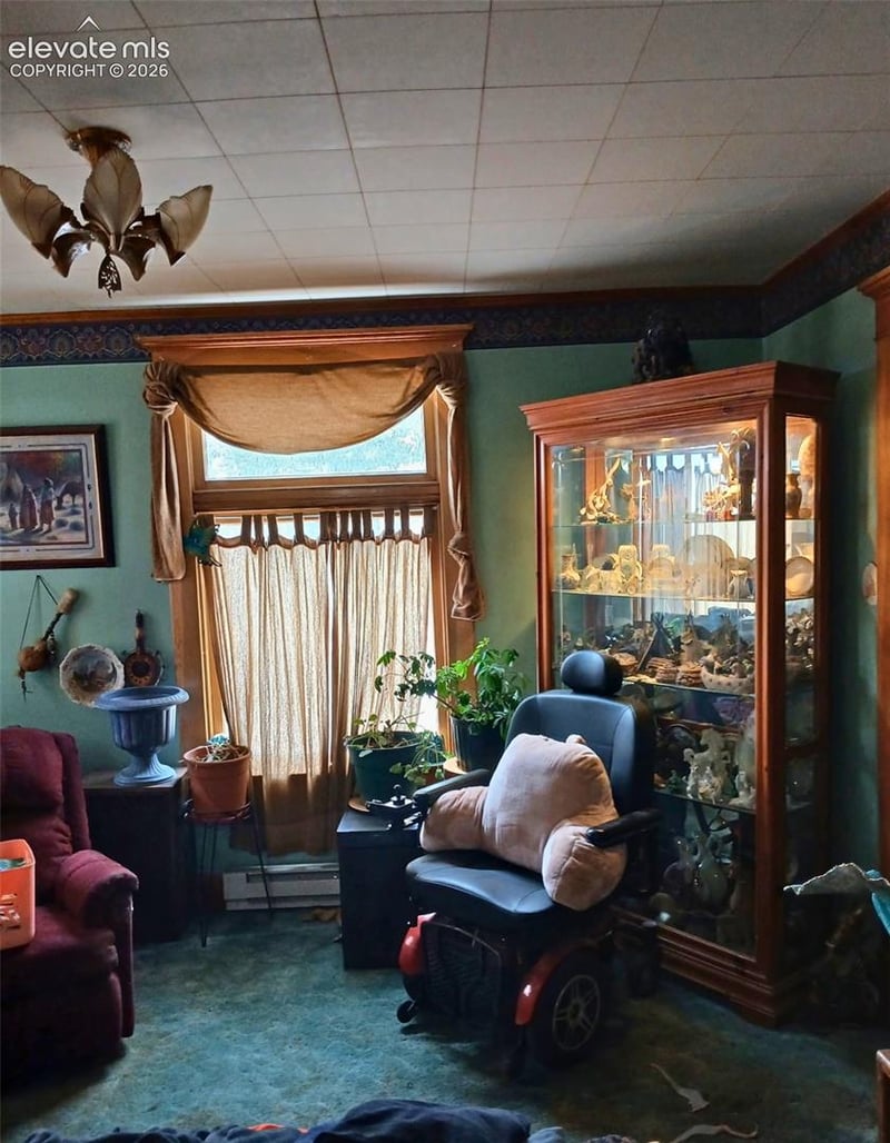 401 E Carr Ave, Cripple Creek, CO 80813