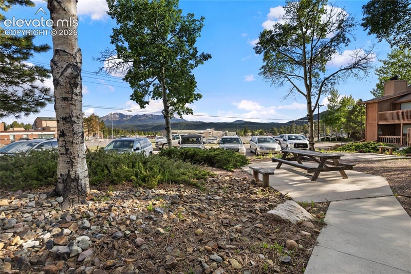 401 Forest Edge Rd #A1, Woodland Park, CO 80863