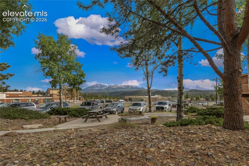 401 Forest Edge Rd #A1, Woodland Park, CO 80863