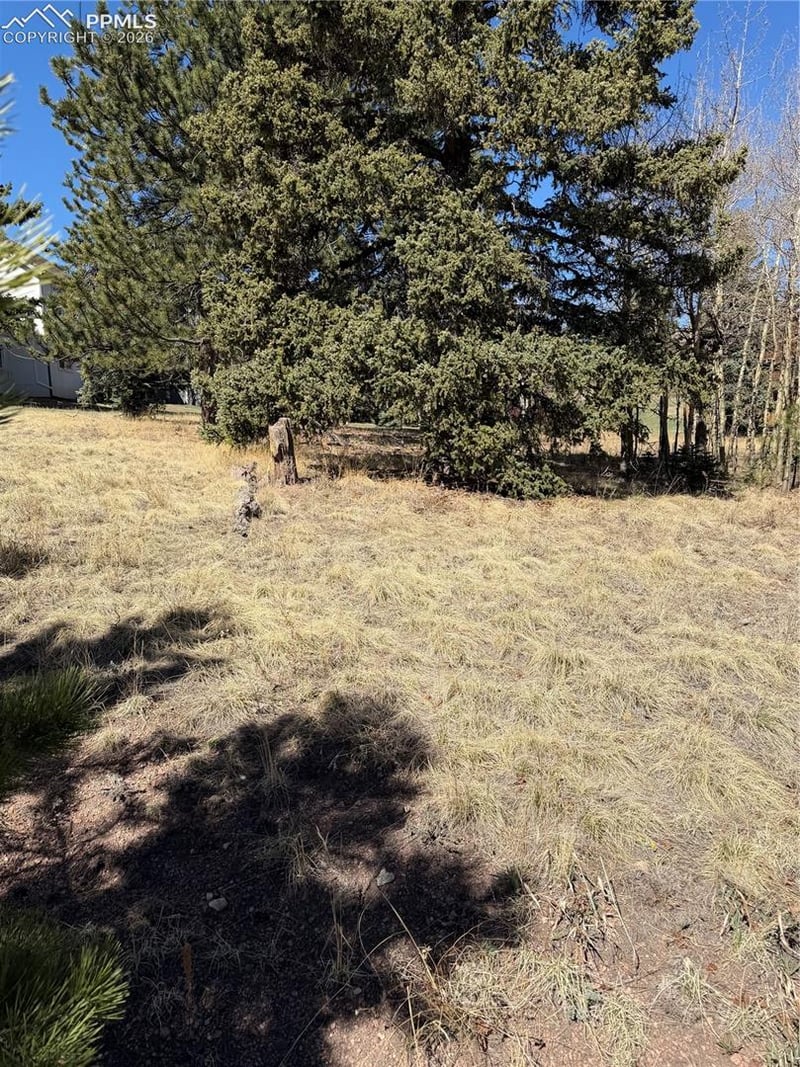 405 Meadow Park Dr, Divide, CO 80814