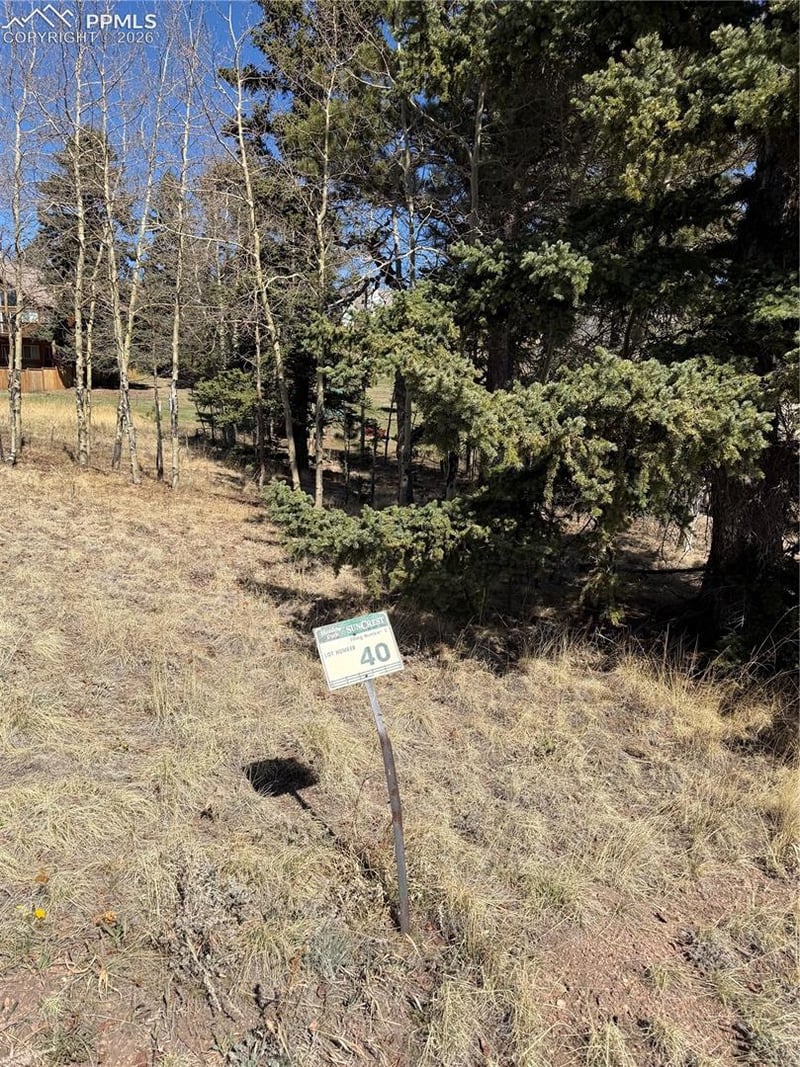 405 Meadow Park Dr, Divide, CO 80814