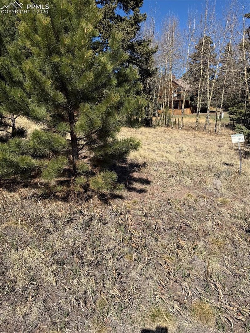 405 Meadow Park Dr, Divide, CO 80814