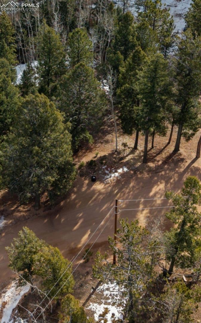 41 Tecumseh Ln, Woodland Park, CO 80863