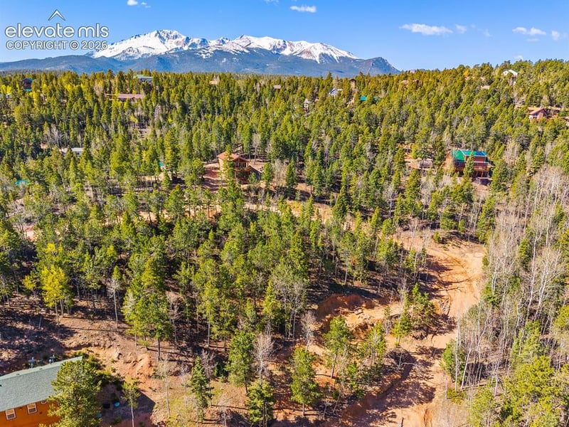413 Wakanda Trl, Woodland Park, CO 80863