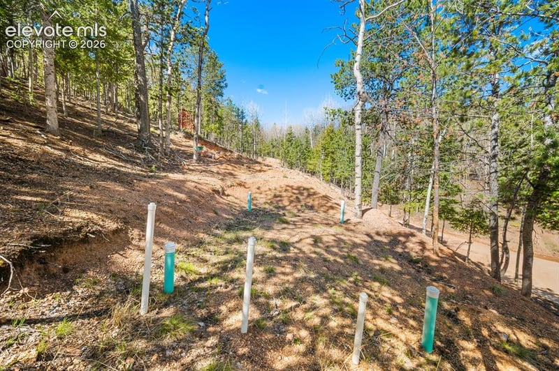 413 Wakanda Trl, Woodland Park, CO 80863