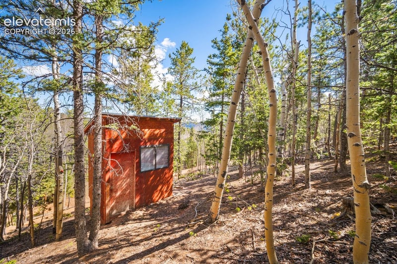 413 Wakanda Trl, Woodland Park, CO 80863