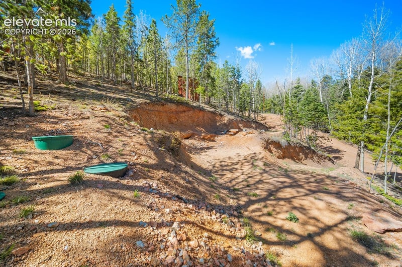 413 Wakanda Trl, Woodland Park, CO 80863