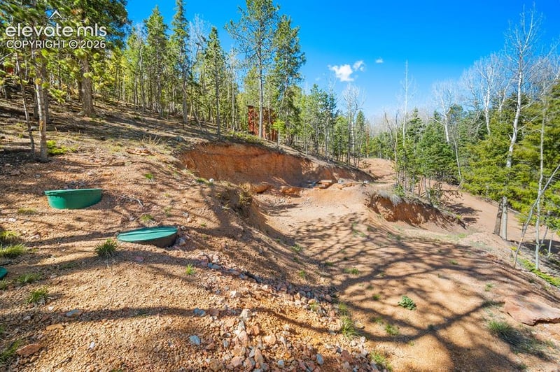 413 Wakanda Trl, Woodland Park, CO 80863