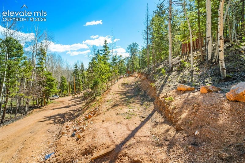 413 Wakanda Trl, Woodland Park, CO 80863