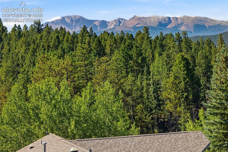 449 Oxford Ln, Woodland Park, CO 80863