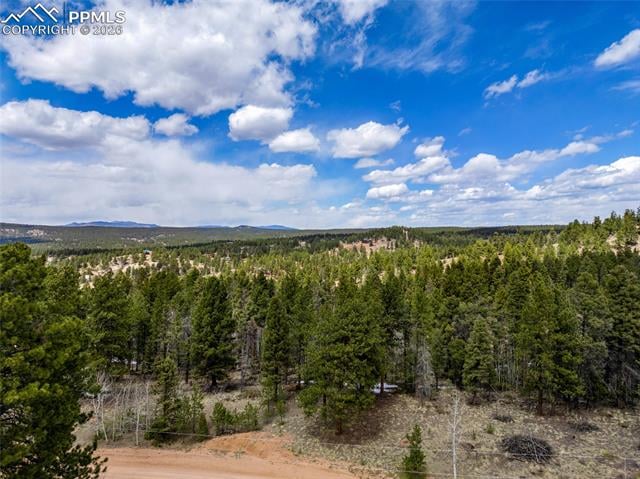 451 Chipeta Creek Trl, Florissant, CO 80816