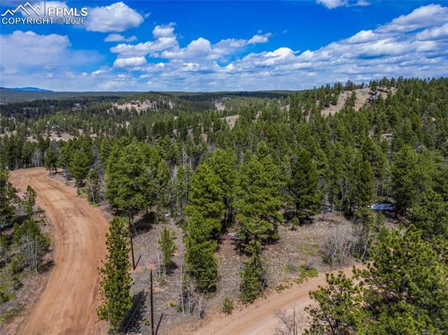 451 Chipeta Creek Trl, Florissant, CO 80816