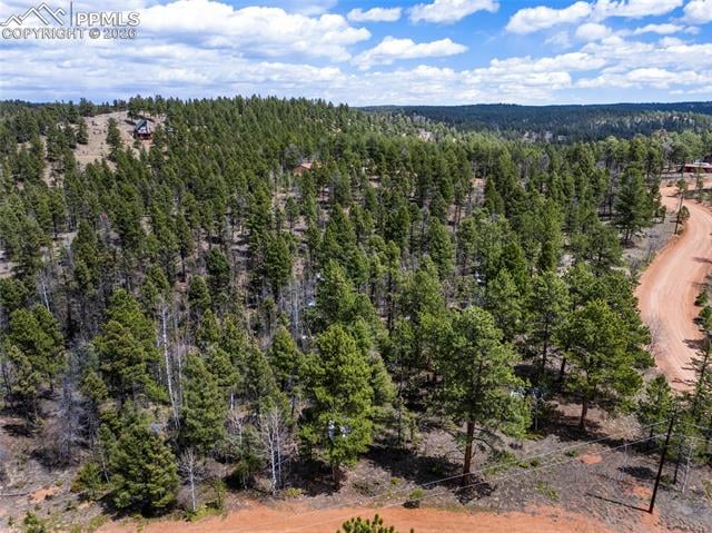 451 Chipeta Creek Trl, Florissant, CO 80816