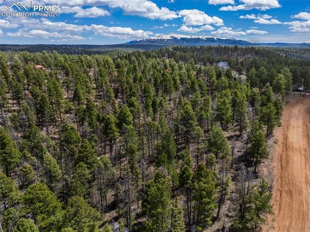 451 Chipeta Creek Trl, Florissant, CO 80816