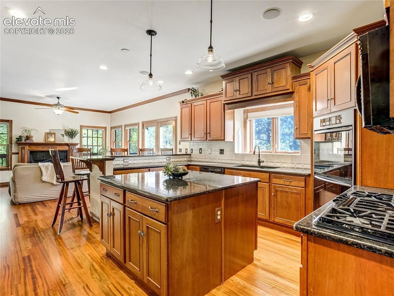 4660 Hagerman Ave, Cascade, CO 80809
