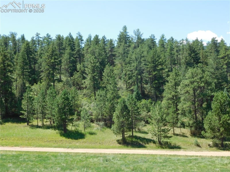 4668 Comanche Dr, Larkspur, CO 80118