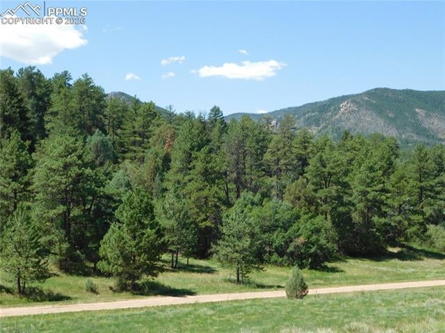 4668 Comanche Dr, Larkspur, CO 80118