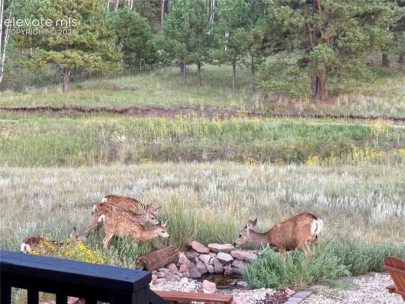 475 Sioux Rd, Florissant, CO 80816