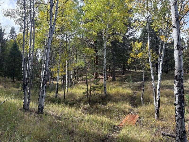 475 Sioux Rd, Florissant, CO 80816