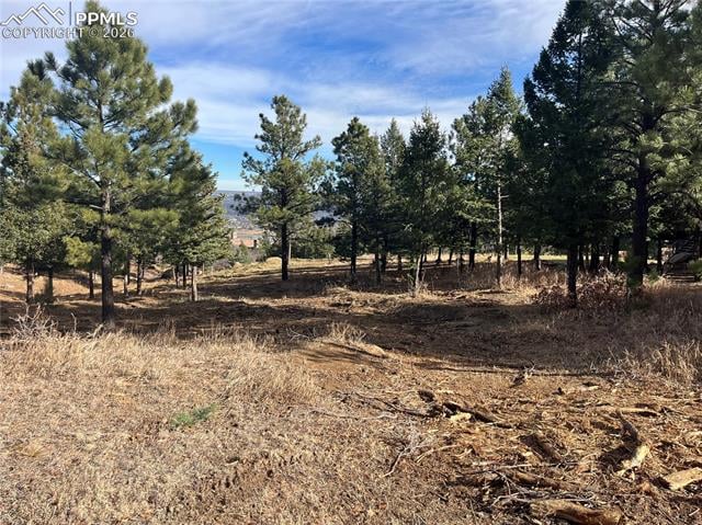 4875 Willow Stone Hts, Colorado Springs, CO 80906