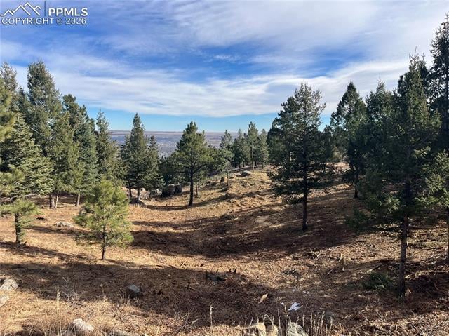4875 Willow Stone Hts, Colorado Springs, CO 80906