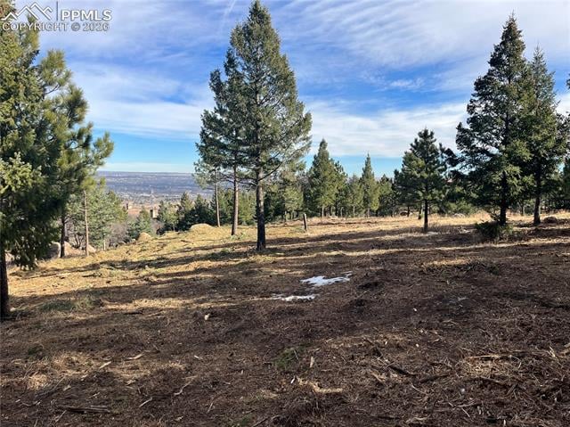 4875 Willow Stone Hts, Colorado Springs, CO 80906