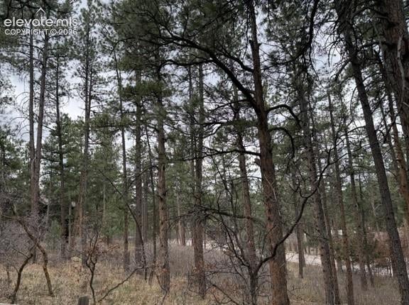 4885 Red Rock Dr, Larkspur, CO 80118