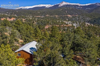 493 Horseshoe Dr, Divide, CO 80814