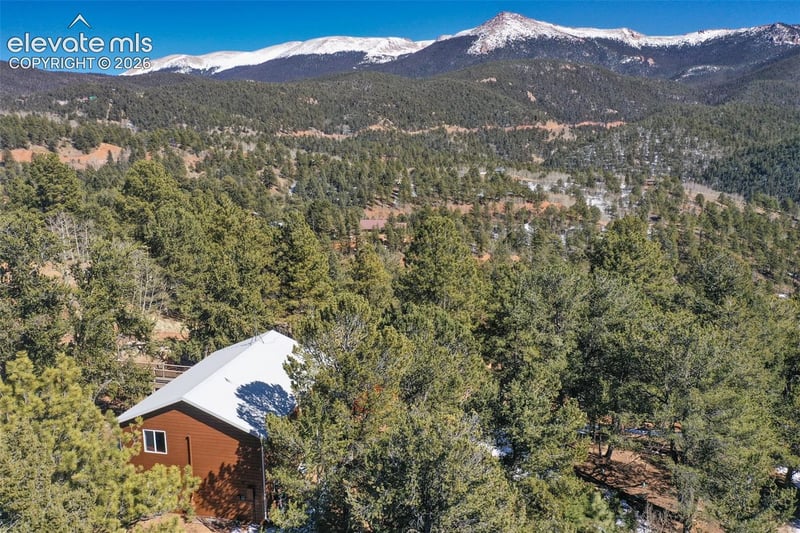 493 Horseshoe Dr, Divide, CO 80814