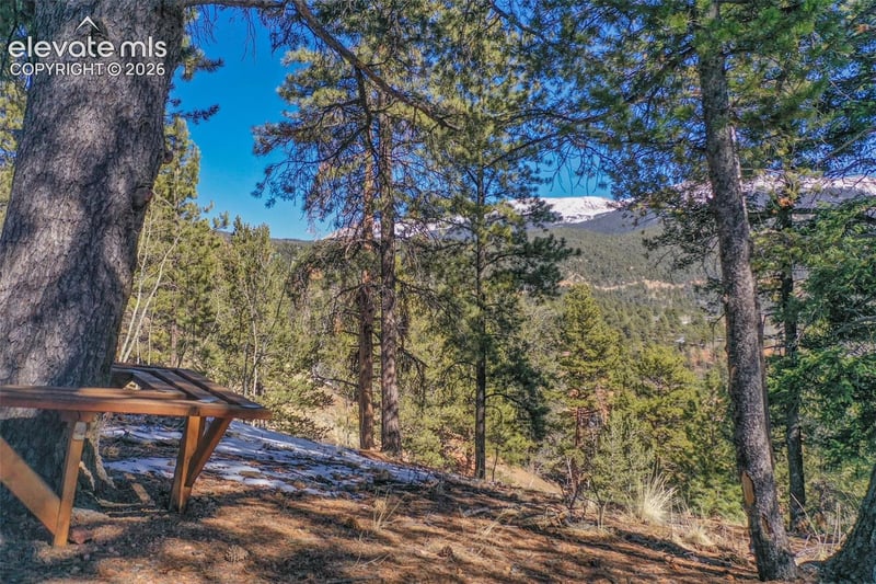 493 Horseshoe Dr, Divide, CO 80814