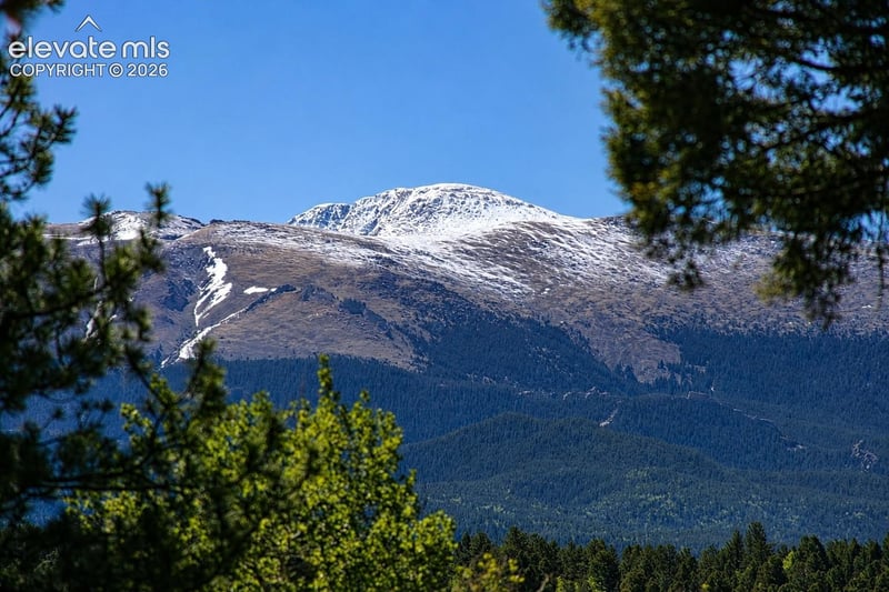 494 Lost Lake Dr, Divide, CO 80814