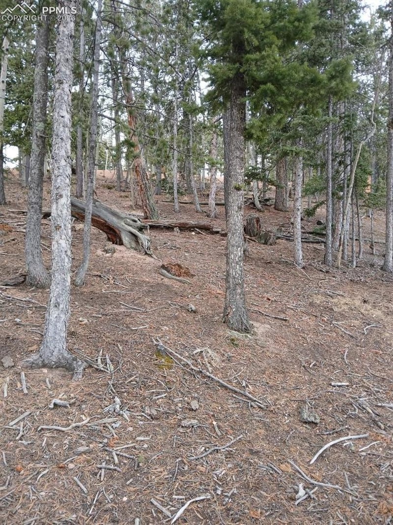495 Wakanda Trl, Woodland Park, CO 80863