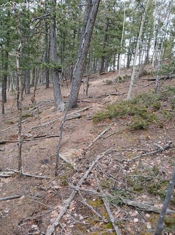 495 Wakanda Trl, Woodland Park, CO 80863