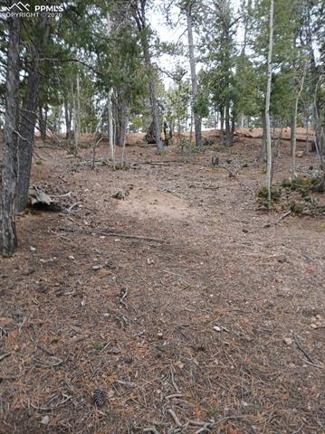 495 Wakanda Trl, Woodland Park, CO 80863